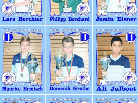 D-Junioren, Saison 2013/14