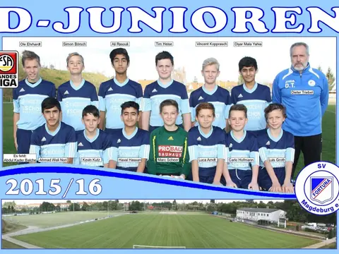 D-Junioren, Saison 2015/16