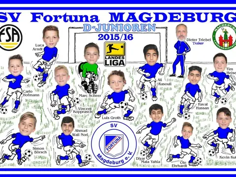 D-Junioren, Saison 2015/16
