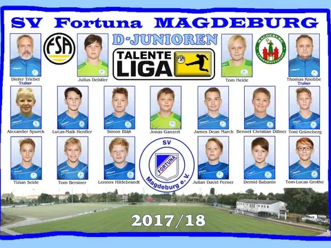 D-Junioren, Saison 2017/18