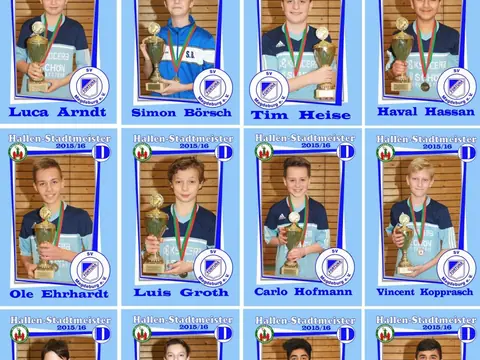 Spieler-Porträts, Saison 2015/16