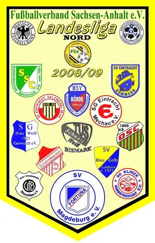 Wimpel, Saison 2008/09